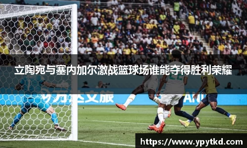 立陶宛与塞内加尔激战篮球场谁能夺得胜利荣耀